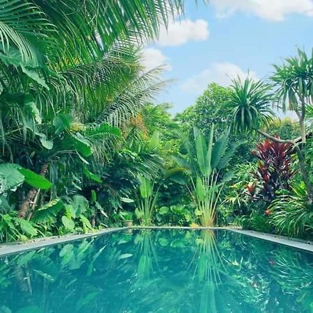 Nha Lua Homestay نينه بينه المظهر الخارجي الصورة