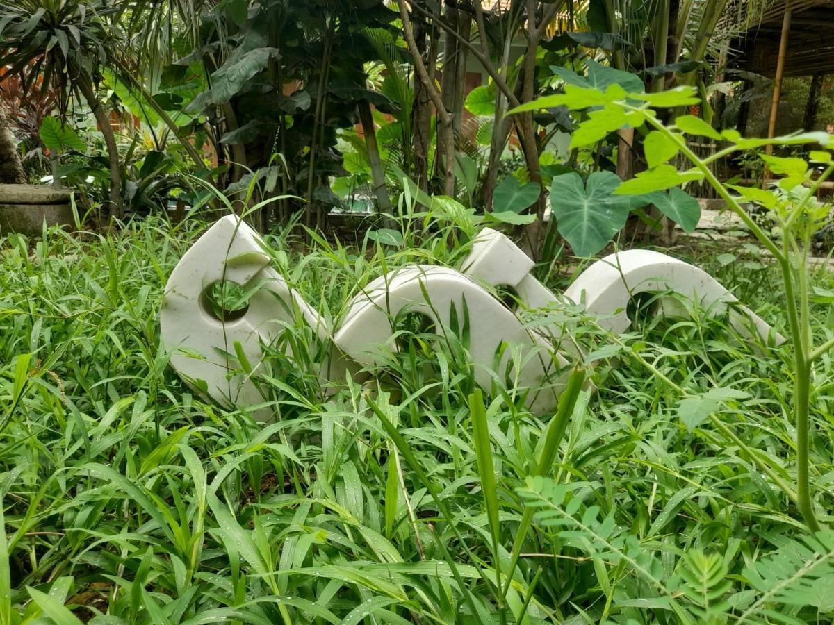 Nha Lua Homestay نينه بينه المظهر الخارجي الصورة