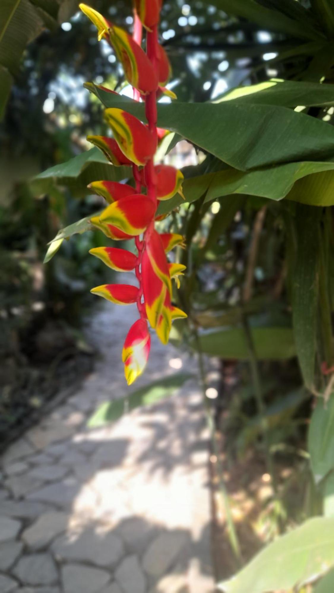 Nha Lua Homestay نينه بينه المظهر الخارجي الصورة
