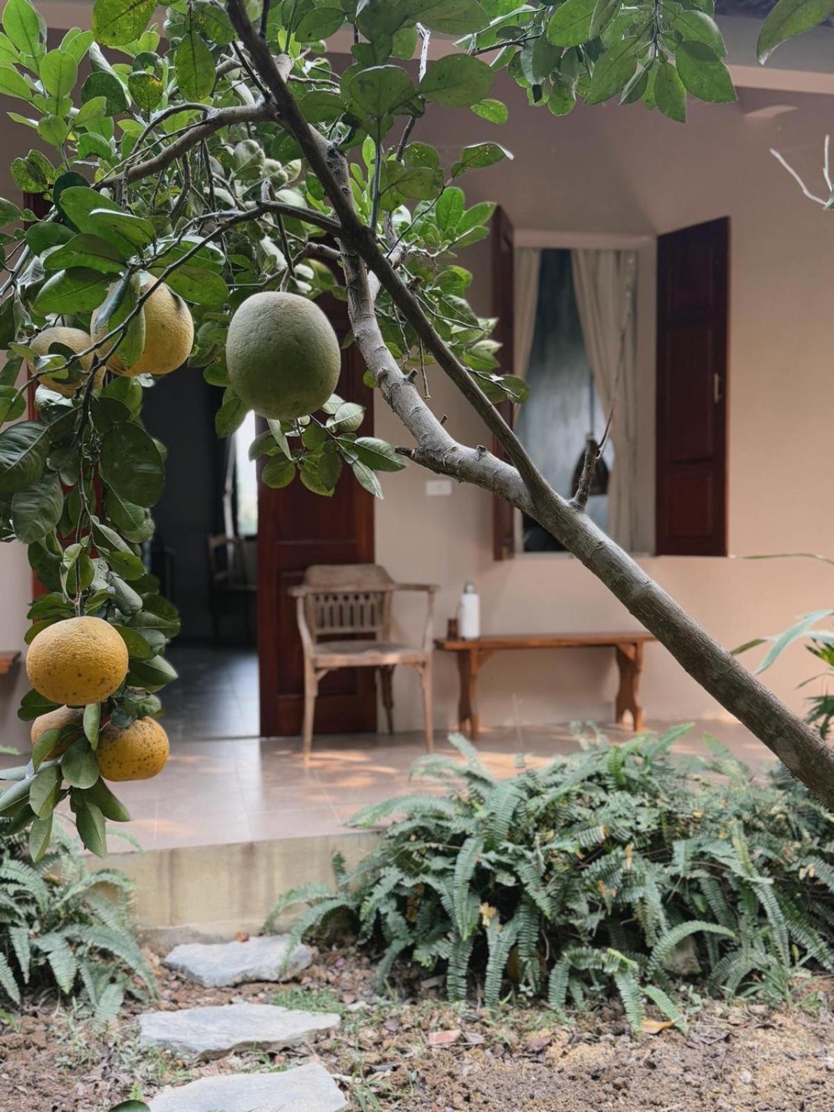 Nha Lua Homestay نينه بينه المظهر الخارجي الصورة